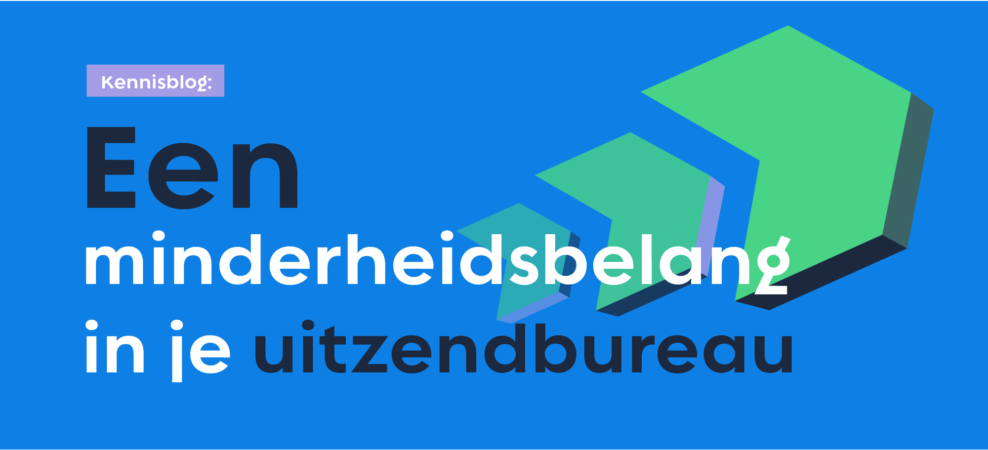 Minderheidsbelang