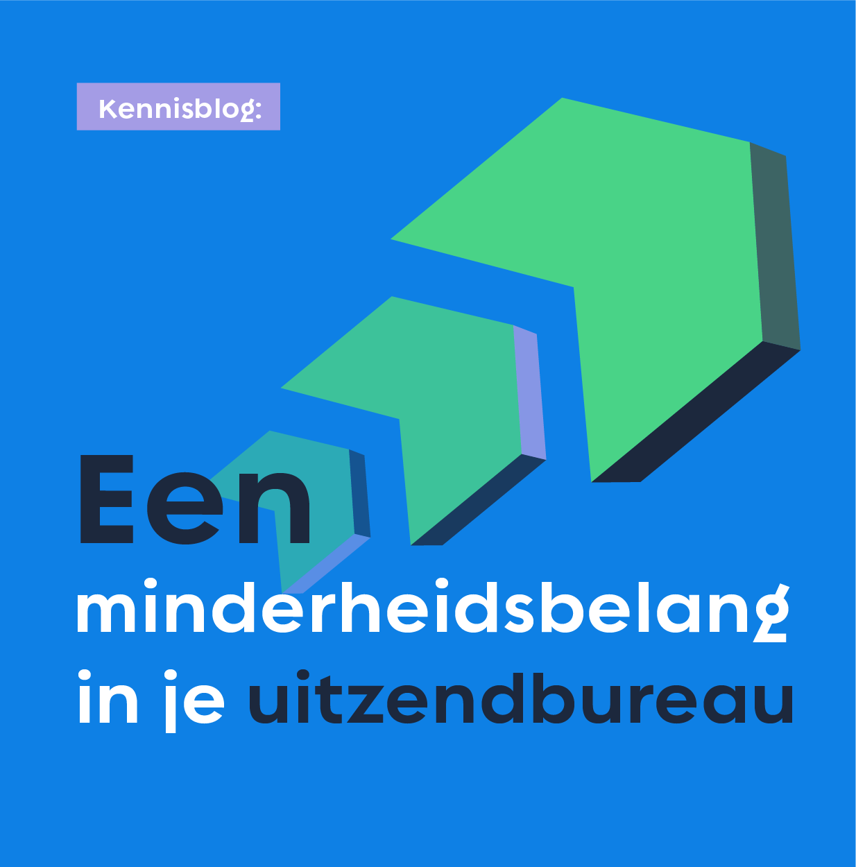 Minderheidsbelang